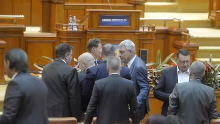 Majorarea alocatiilor pentru copii, respinsa de Camera Deputatilor