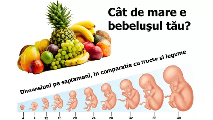 Cat de mare e bebelusul tau? Dimensiuni pe saptamani, in comparatie cu fructe si legume