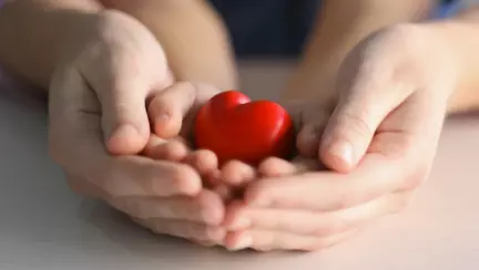 Au strabatut mii de kilometri pentru a putea ajuta copiii romani dintr-un orfelinat