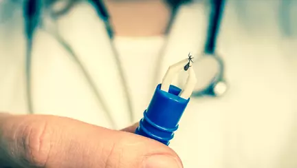 Cum sa te feresti de capuse