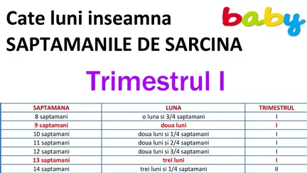 Cate luni inseamna saptamanile de sarcina - GRAFIC detaliat