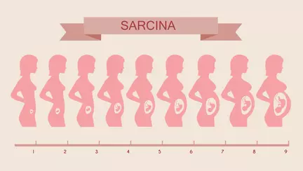 Ce sa faci in fiecare saptamana de sarcina