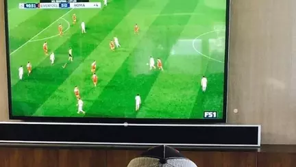 Imagine induiosatoare cu Enrique Iglesias, in care urmareste un meci cu cei doi gemeni