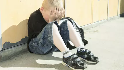 Bullyingul reglementat prin lege