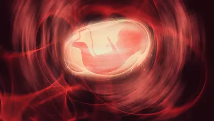 Reclama cu un fetus care a socat internetul