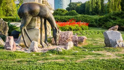 Otrava imprastiata in parcurile Herastrau si Cismigiu. Politia cauta vinovatii