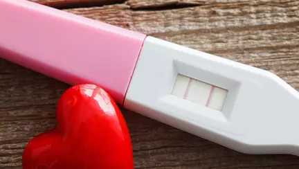 Manifest pentru doua liniute