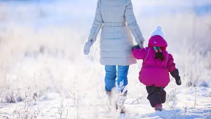 Proiect de lege: Unul din parinti sa aiba liber, cand scolile sunt inchise