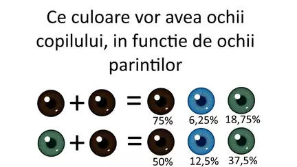 Cum va arata copilul, in functie de trasaturile parintilor
