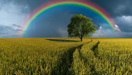 Ce este curcubeul? Tot ce trebuie să știi despre această superbă manifestare a naturii