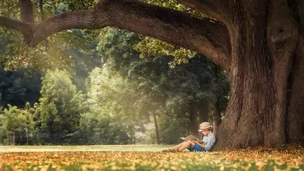 Amintiri din copilărie, de Ion Creangă. Partea a II-a