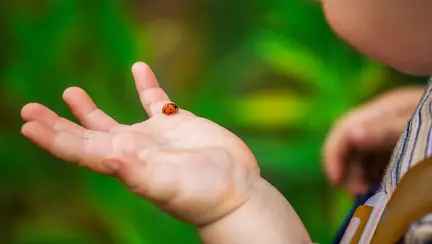 Gândăcelul de Elena Farago - Poezii pentru copii