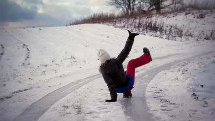 Poleiul - Ce este poleiul și cum îl explicăm pe înțelesul copiilor