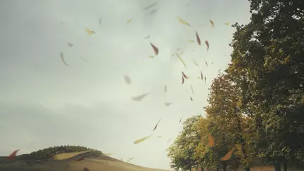 Tornada, vântul, furtuna - Când apar și cum se formează aceste fenomene