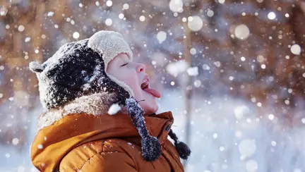 Zăpada și fulgii de nea - Curiozități despre zăpadă