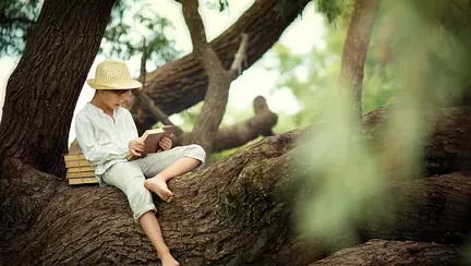 Ivan Turbincă - Cele mai cunoscute povești de Ion Creangă