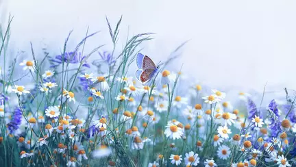 Rapsodii de primăvară. Poezii de George Topârceanu