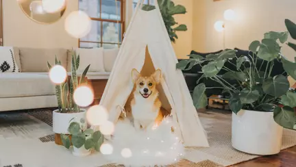 (P) Beneficiile unui animal de companie în preajma copiilor