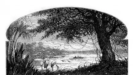 Urcă la bord alături de Dick, în “Căpitan la cincisprezece ani”, din Colecția Jules Verne!