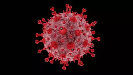 Un bebeluș mort la naștere, depistat cu COVID-19