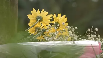 Un bebeluș a murit după ce a fost atacat de o coțofană într-un parc din Australia