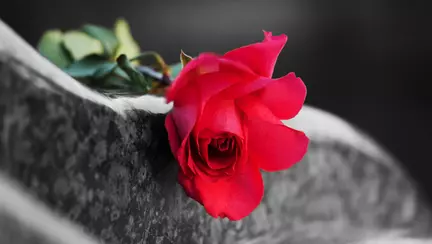 Când și unde vor fi înmormântați gemenii decedați din Ploiești