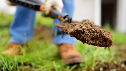 Mehedinți: Rămășițele a doi nou-născuți, găsite îngropate în curtea unei case