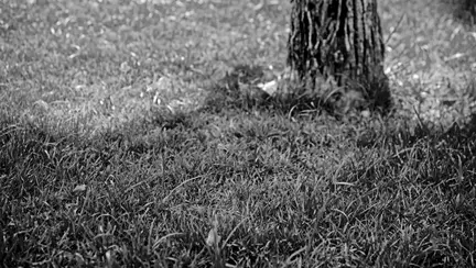 O femeie de 40 de ani din Galați și-a lăsat nou-născutul să moară afară în frig, la îndemnul mamei ei