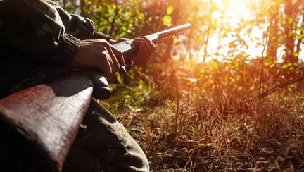 Copil, împușcat după ce a fost confundat cu un urs într-o pădure din Sălaj