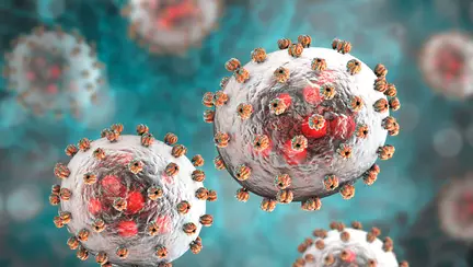 UK: Un bebeluș a murit din cauza febrei Lassa