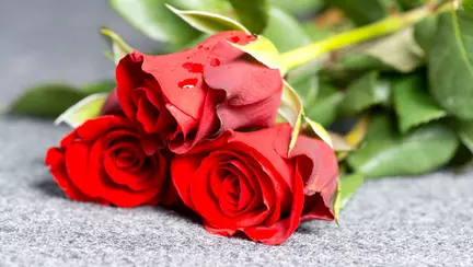 Cine vizitează zilnic mormântul femeii din Timișoara care s-a aruncat cu copiii de pe bloc