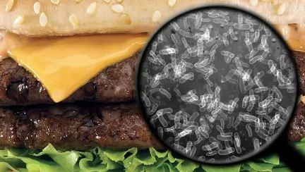 Două dintre bacteriile care provoacă infecții grave mai ales în rândul copiilor nu mai răspund la tratament