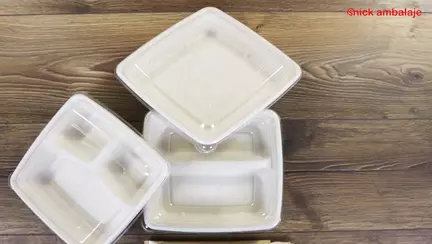 Caserole biodegrabadabile și ambalaje de unică folosință pentru domeniul HoReCa