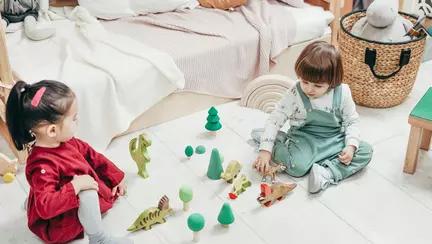 Când frații împart aceeași cameră: 4 sfaturi pentru crearea unui spațiu care să satisfacă nevoile fiecăruia