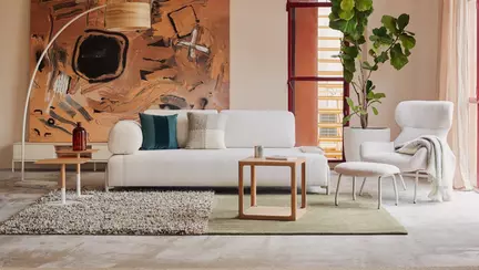 Confort și stil: ghidul tău pentru alegerea canapelei perfecte