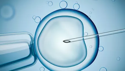 Fertilizare In Vitro (FIV): analize necesare și proceduri specifice