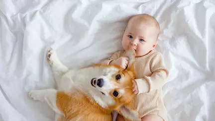 Top 3 lucruri pe care trebuie să le ştii ca proaspătă mămică despre alergii