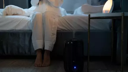 Beneficiile dezumidificatorului pentru sănătatea familiei și a plantelor din interior