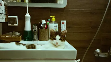 Experții în igiena orală pun faţă în față periuţele de dinţi electrice şi cele clasice