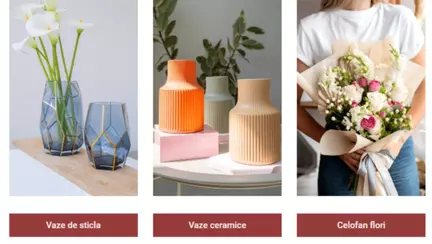 Belany - Eleganță pentru casă cu vaze de flori deosebite