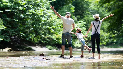 Plimbări în parc sau pădure alături de copil: cum să te asiguri că este în siguranță