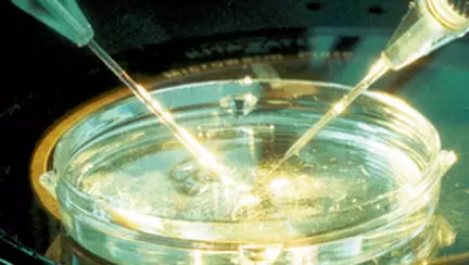 Fertilizarea asistata medical, depasirea propriilor limite