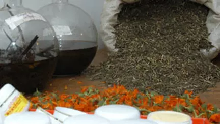 Remedii naturiste in sarcina