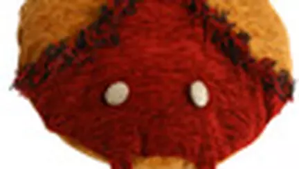 Cum sa faci o buburuza - jucarie