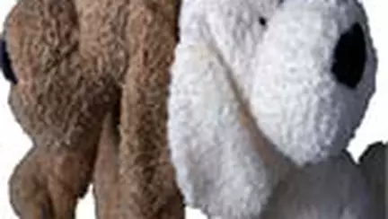 Baiat sau fata? Afla ce sex va avea copilul tau.