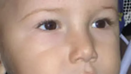 Cu ce seamana zapada topita?