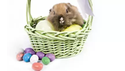 Povestea iepurasului de Paste si alte simboluri pascale