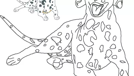Dalmatian1