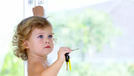 Cheia la gat este pe cale de disparitie