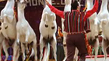 Festivalul International de Arta a Circului